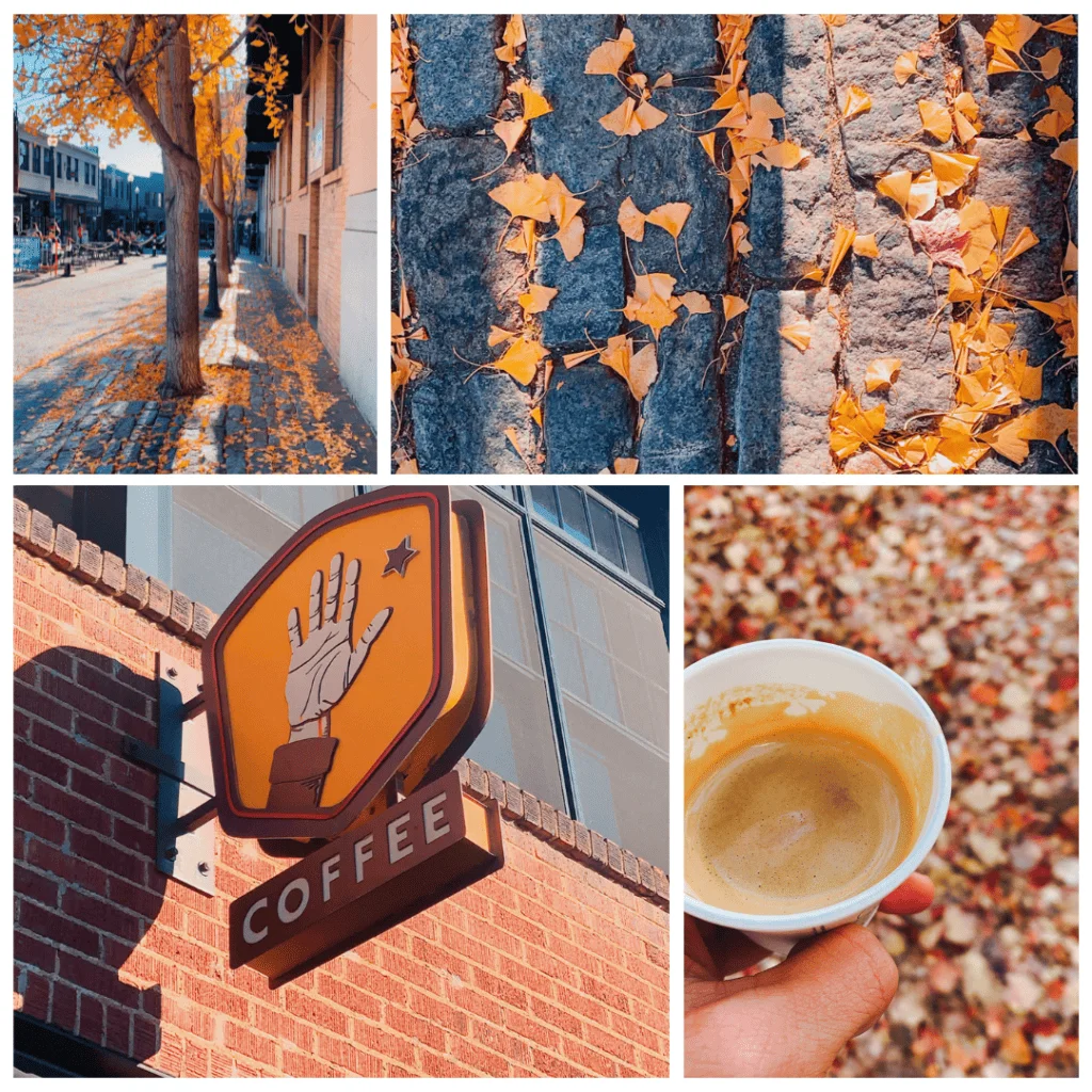 Hi Five Coffee is serving delicious coffee at 13 Rankin Avenue in Asheville.